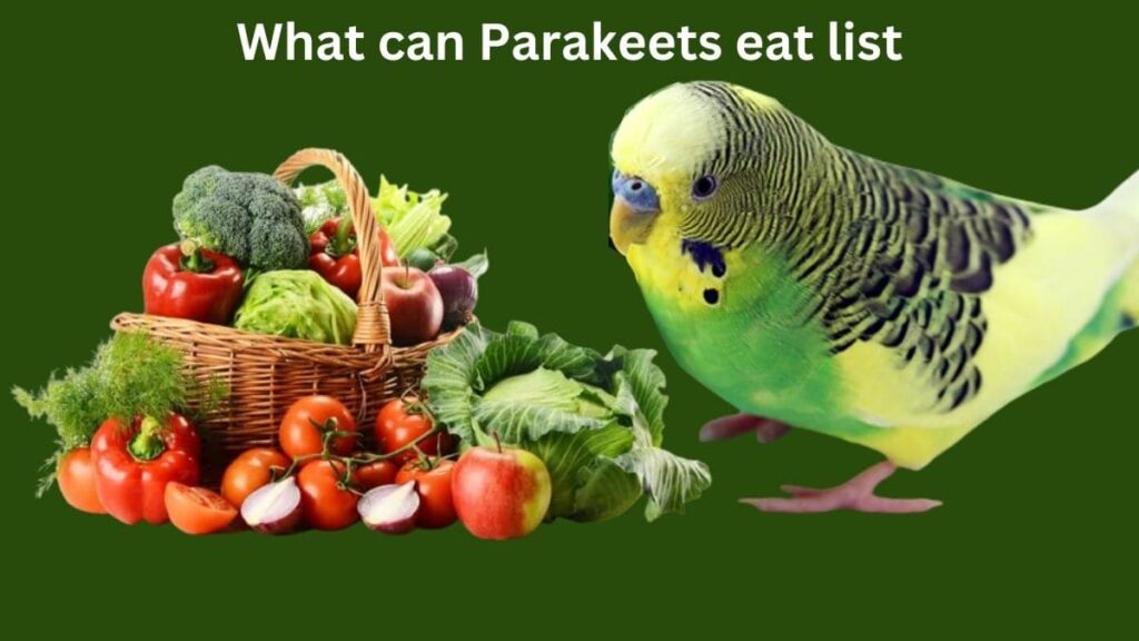 What to feed parakeets besides seeds
